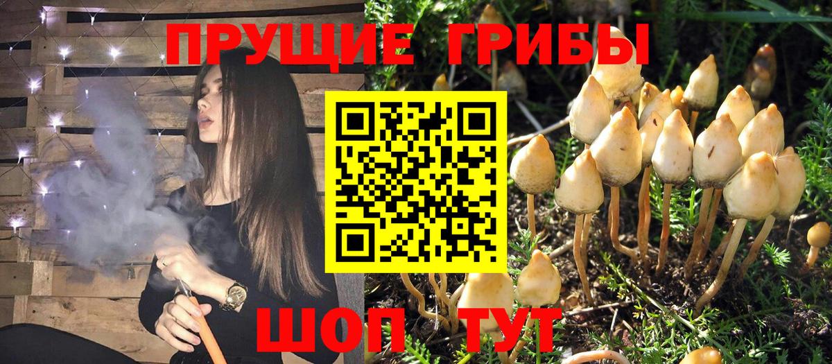 Псилоцибиновые грибы мухоморы Татарск